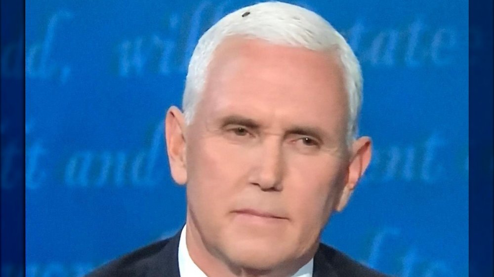 A fly in Mike Pence's hair at the VP debate