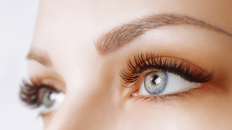 close up eyelash extensions