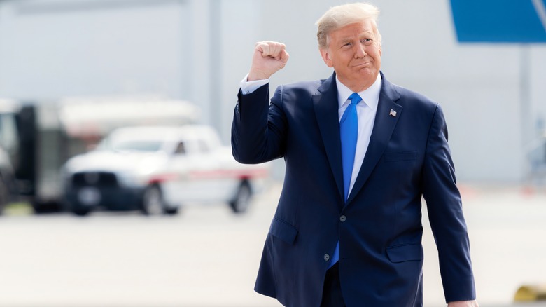 Donald Trump raising a fist