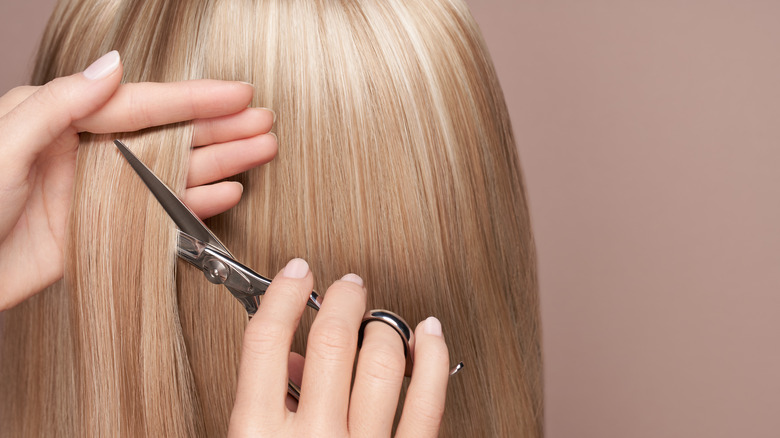 A stylist cutting straight blonde hair