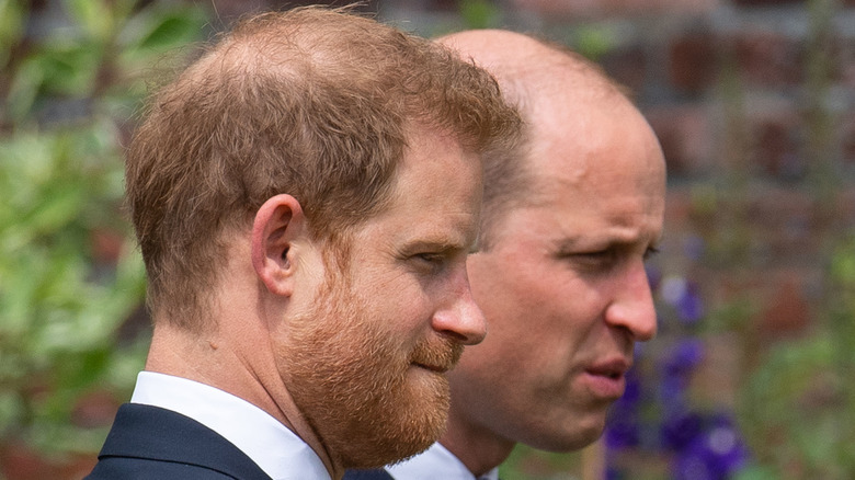 Harry and William at the statue unveiling