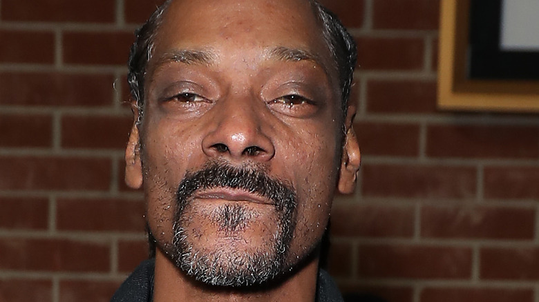 Snoop Dogg with facial hair