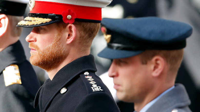 Prince Harry and Prince William in profile