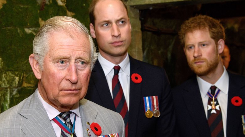 Princes Charles, William, and Harry