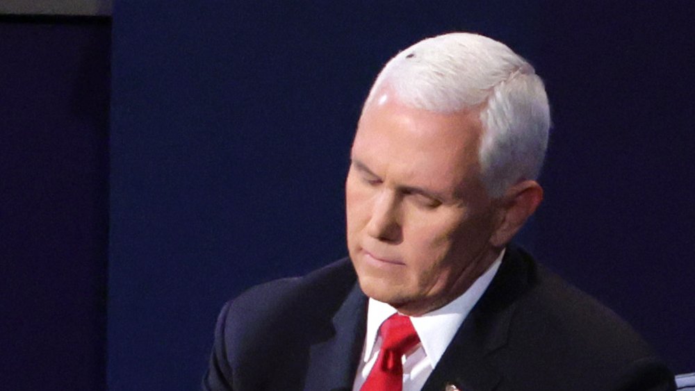 Mike Pence at debate with fly on his head