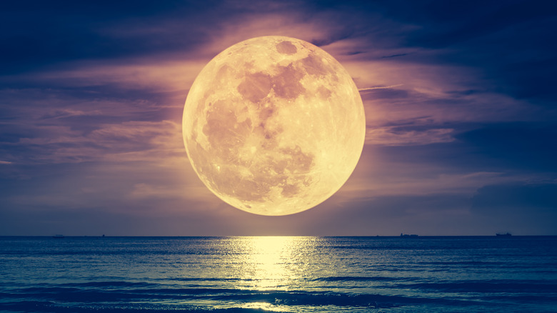 A pink and gold full moon rises over the ocean