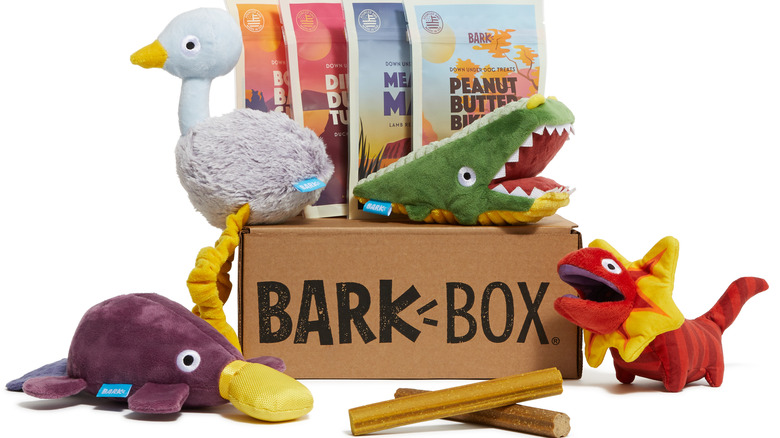 BarkBox pictured with treats and toy dinosaurs 