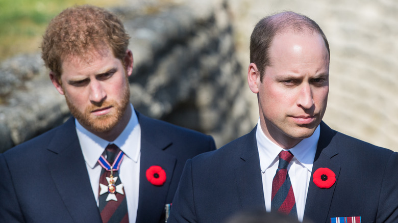 Prince Harry and Prince William looking serious