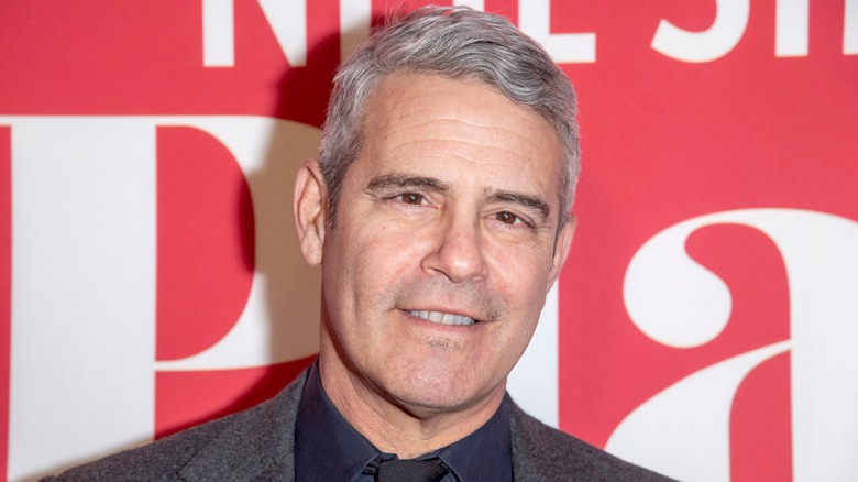Andy Cohen posing