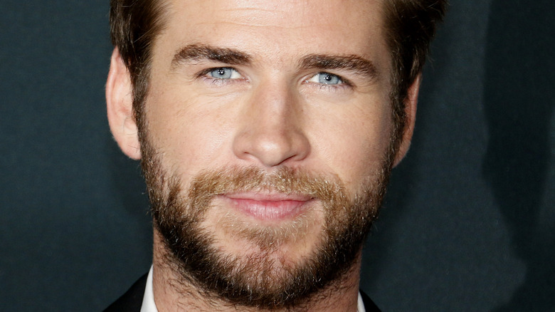 Liam Hemsworth poses at an event