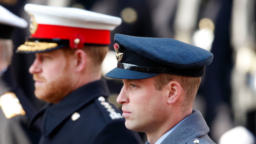 William and Harry in military dress