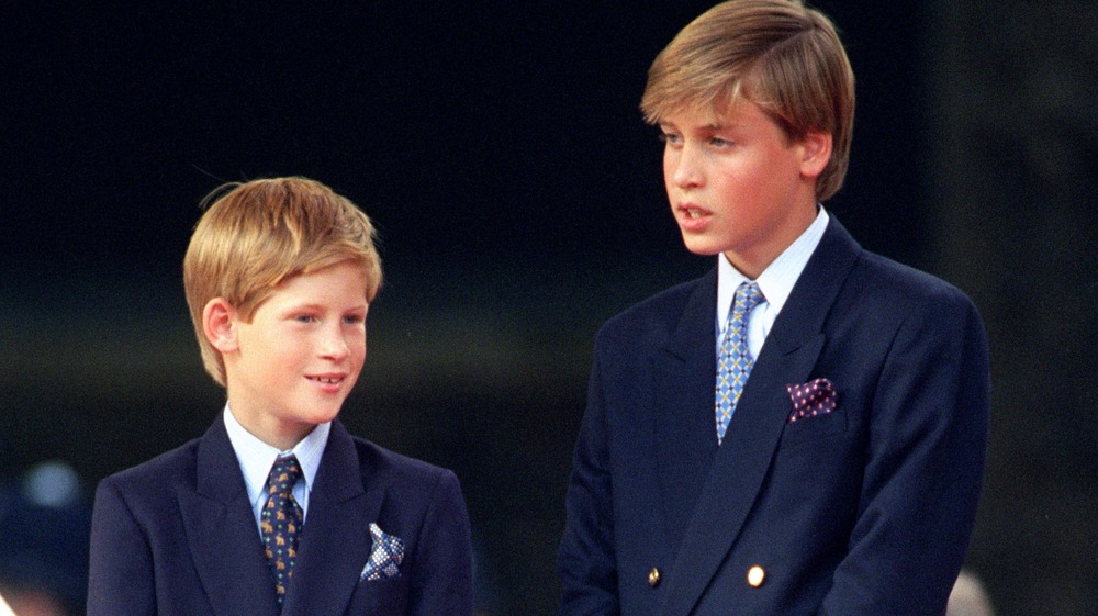 Young Princes Harry and William