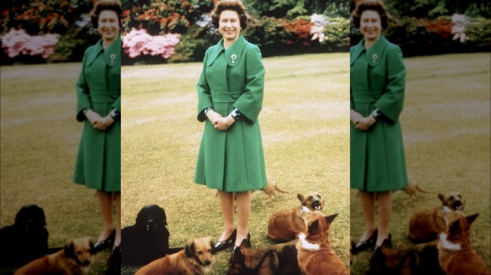 Queen Elizabeth and her corgis