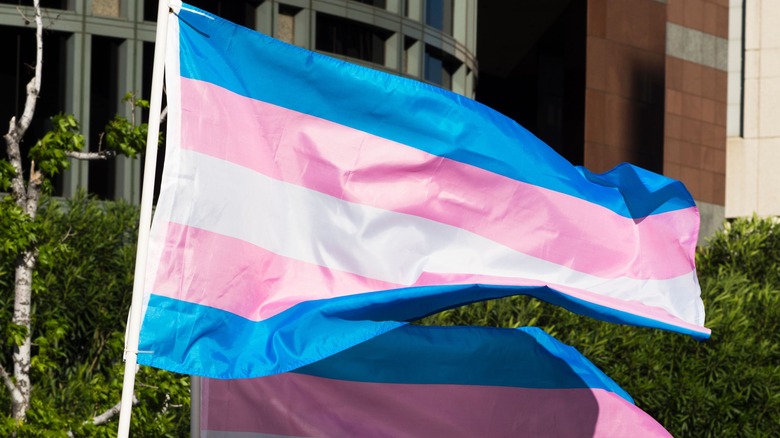 The trans pride flag