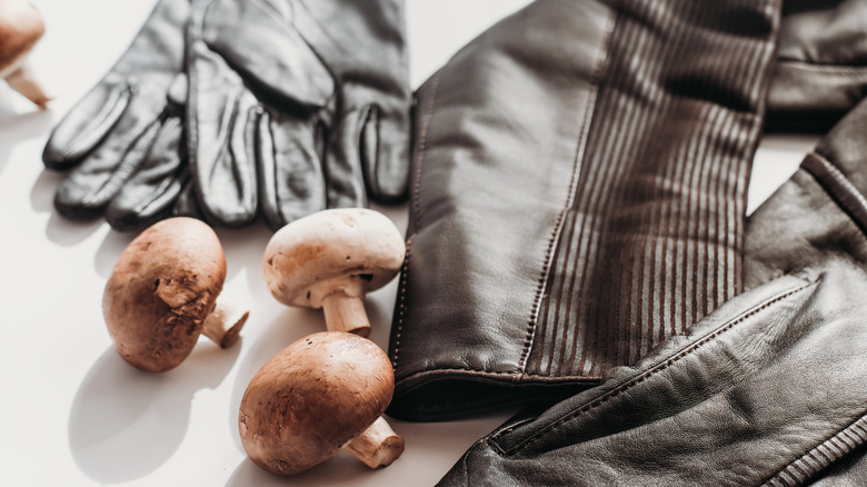 mushroom leather gloves jacket