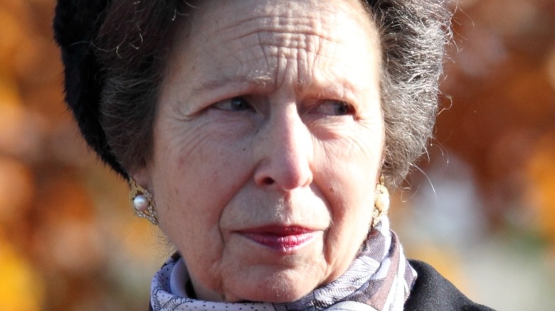 Princess Anne against a fall background looking off into the distance