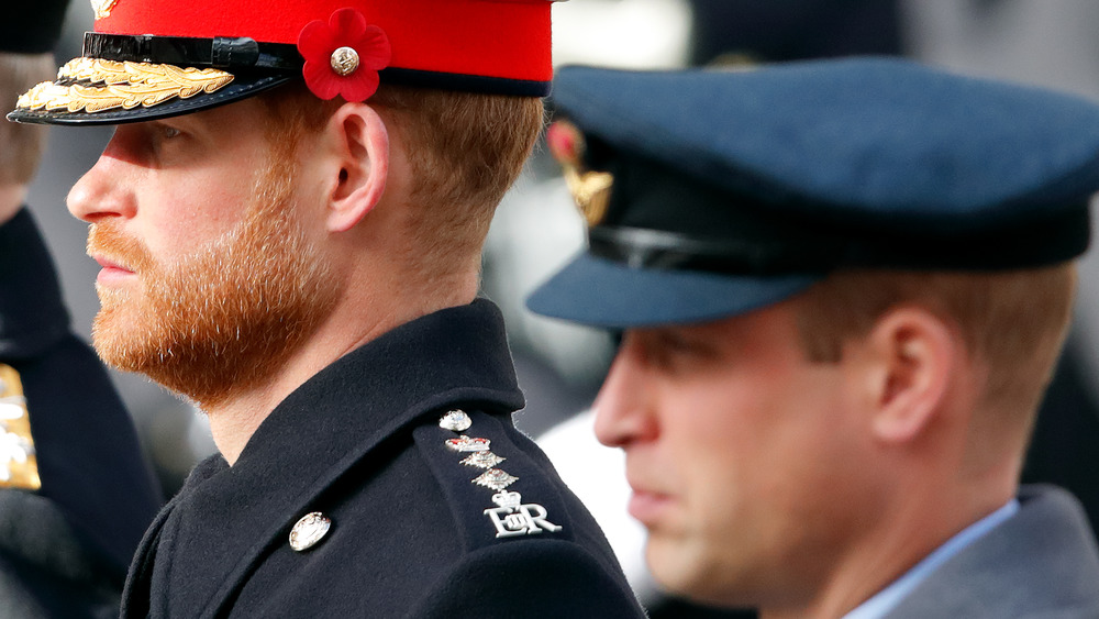 Prince William and Prince Harry at Remembrance Day ceremony 