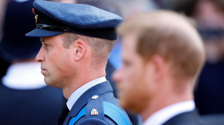 Prince Harry and Prince William side profile next to each other