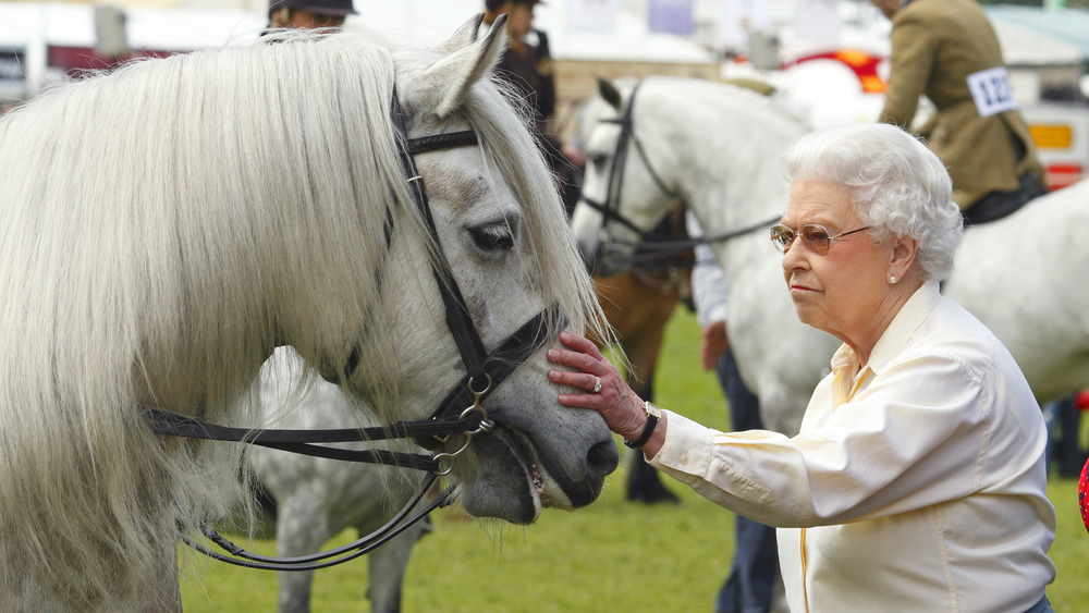 Queen Elizabeth with white horses