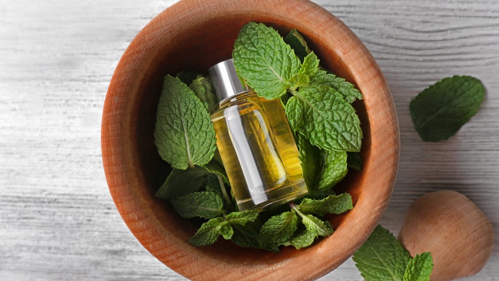 peppermint oil in a bottle on top of mint leaves in a wooden bowl 