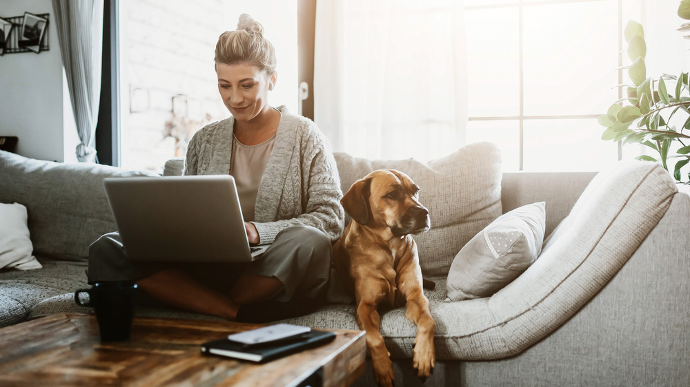 A woman sitting on the couch with her laptop and dog 