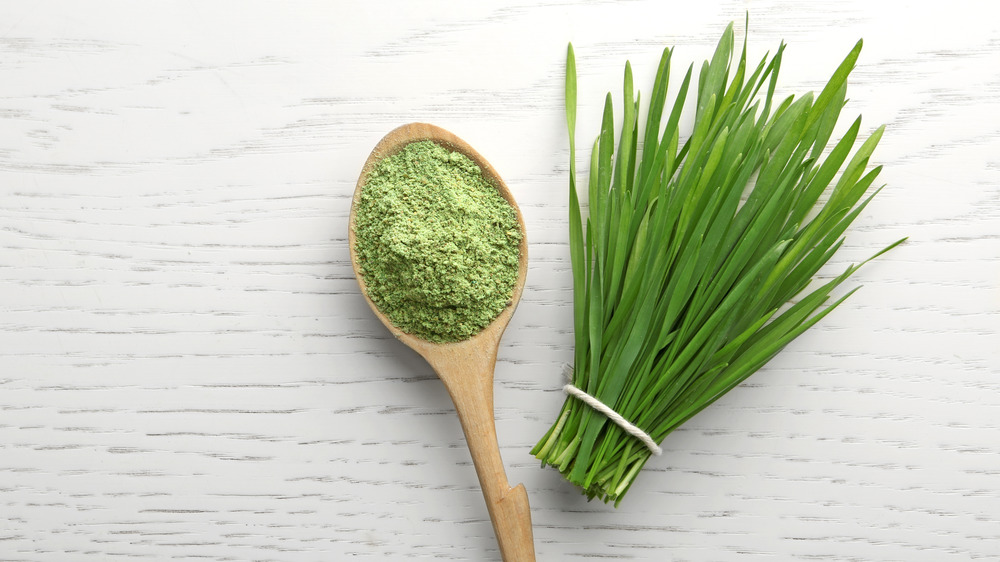 Spoonful of green superfood powder